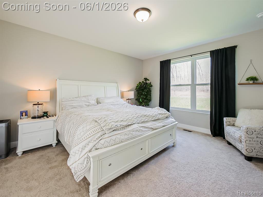 3718 Cornwell Court, Ann Arbor, MI 48105 — Photo 21