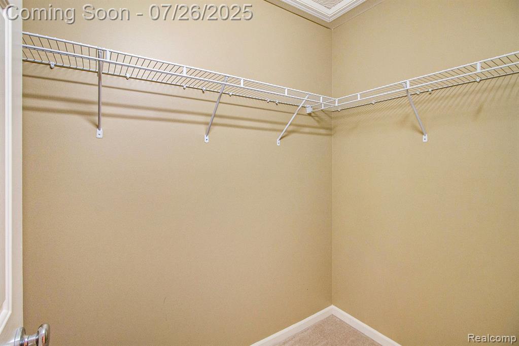 1051 Spirea, Howell, MI 48843 — Photo 16
