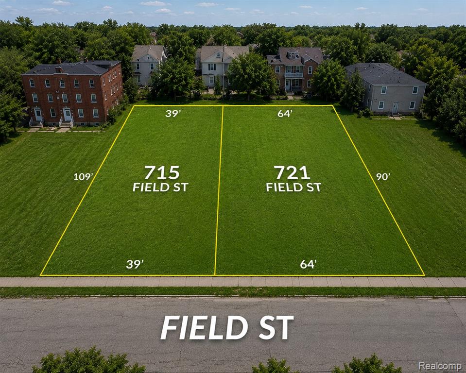 715 Field Street, Detroit, MI 48214 — front exterior