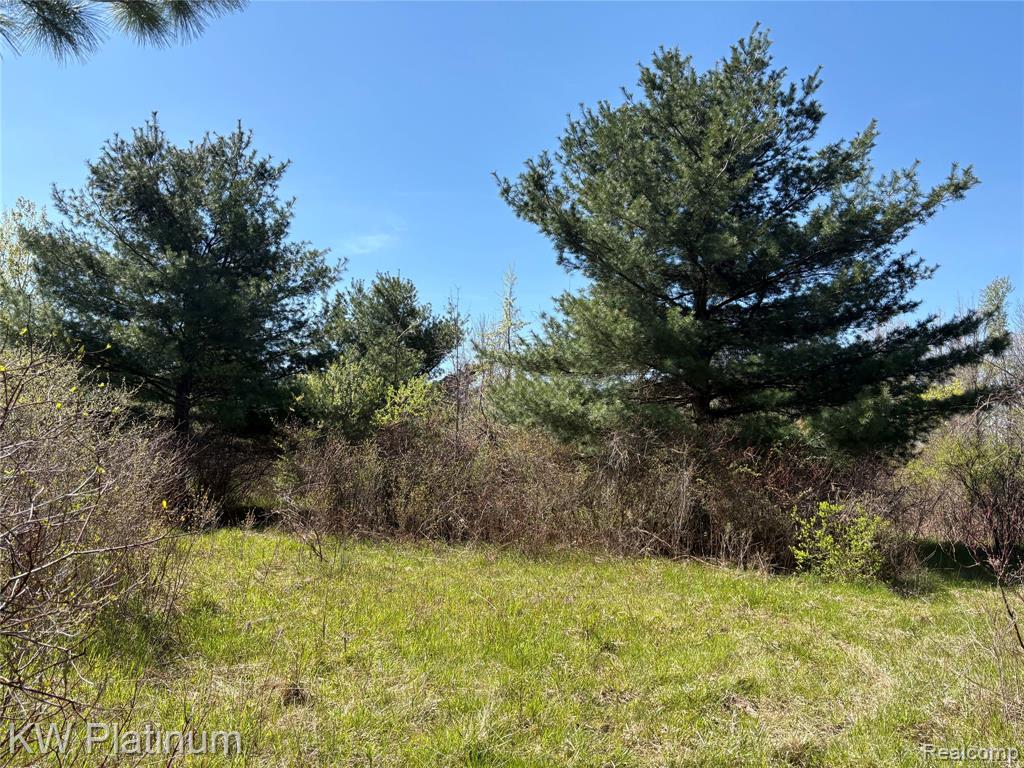 Parcel C Wicha Drive, Burtchville, MI 48059 — Photo 12