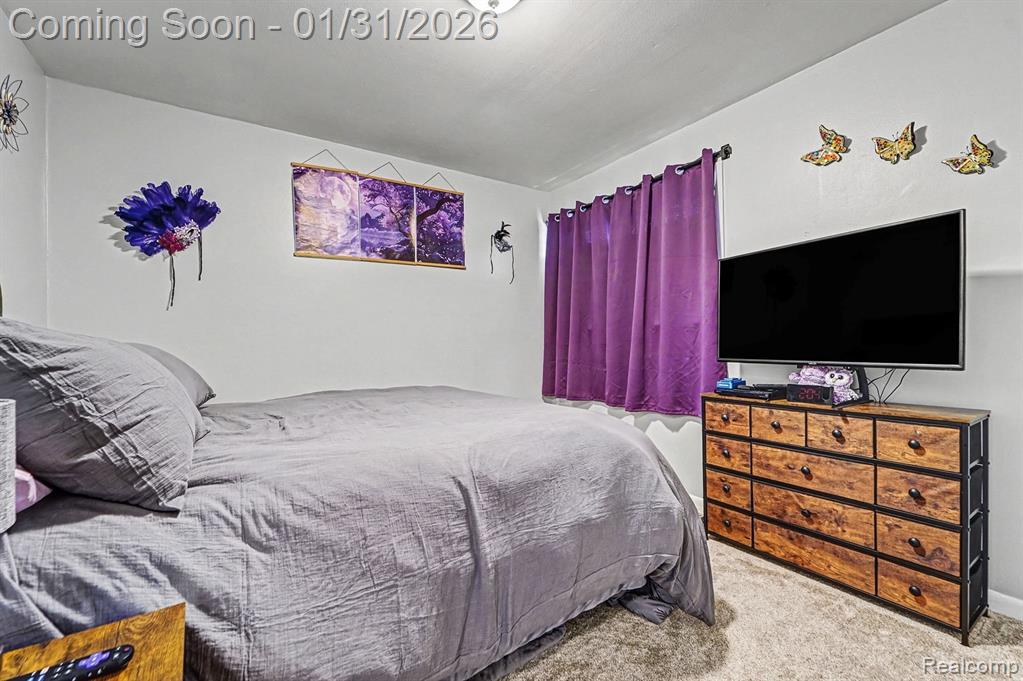 340 Woodlawn Avenue, Ypsilanti, MI 48198 — Photo 11