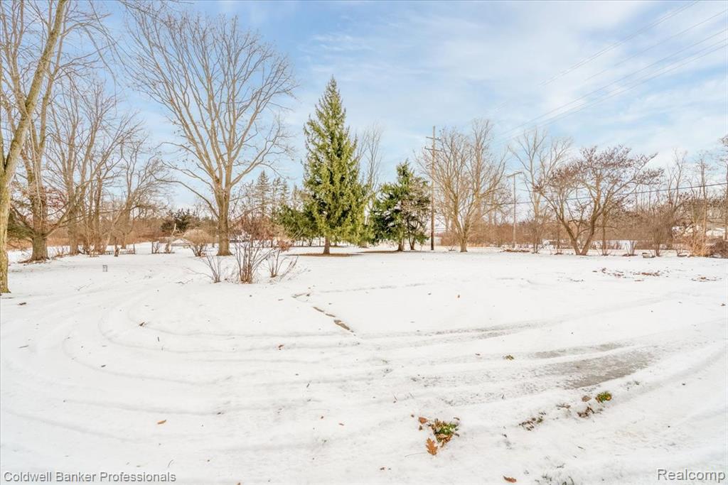 10485 Willis Road, Willis, MI 48191 — Photo 5