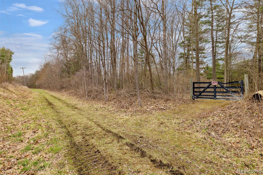 4824 Little Cedar Creek Drive, Attica, MI 48412 — Photo 73