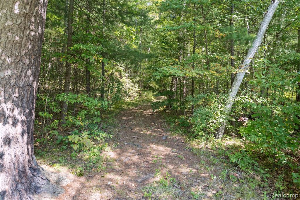 267 W Barnes Lake Road, Columbiaville, MI 48421 — Photo 48