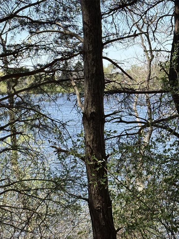 Parcel 3 Pineway Trail, Howell, MI 48855 — Photo 11