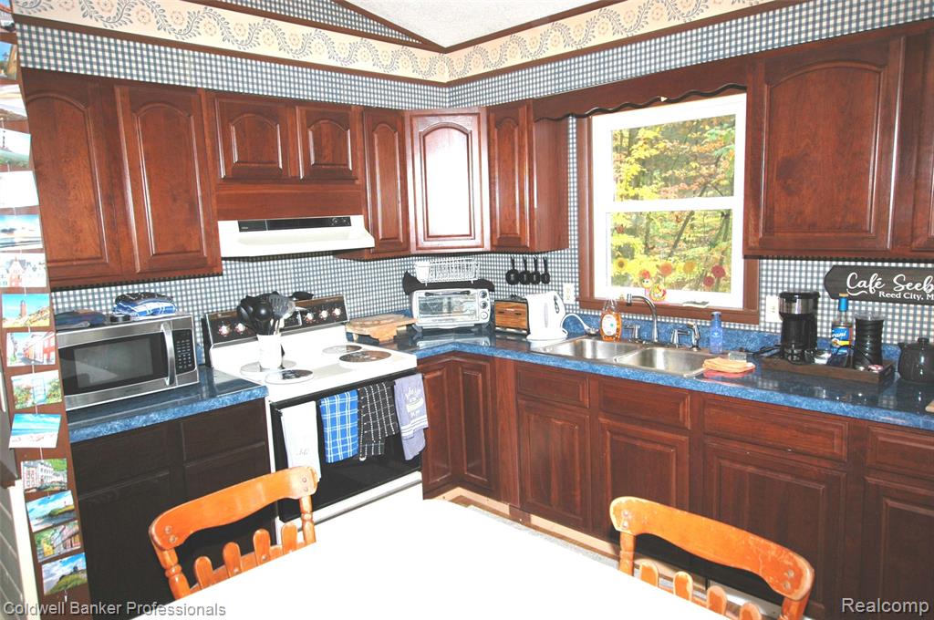 10120 Alpine Drive, Reed City, MI 49677 — Photo 4