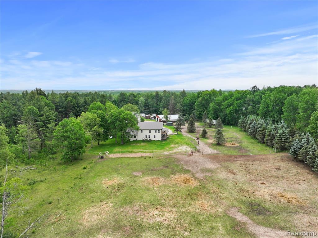 8875 N Lakola Road, Tustin, MI 49688 — Photo 13