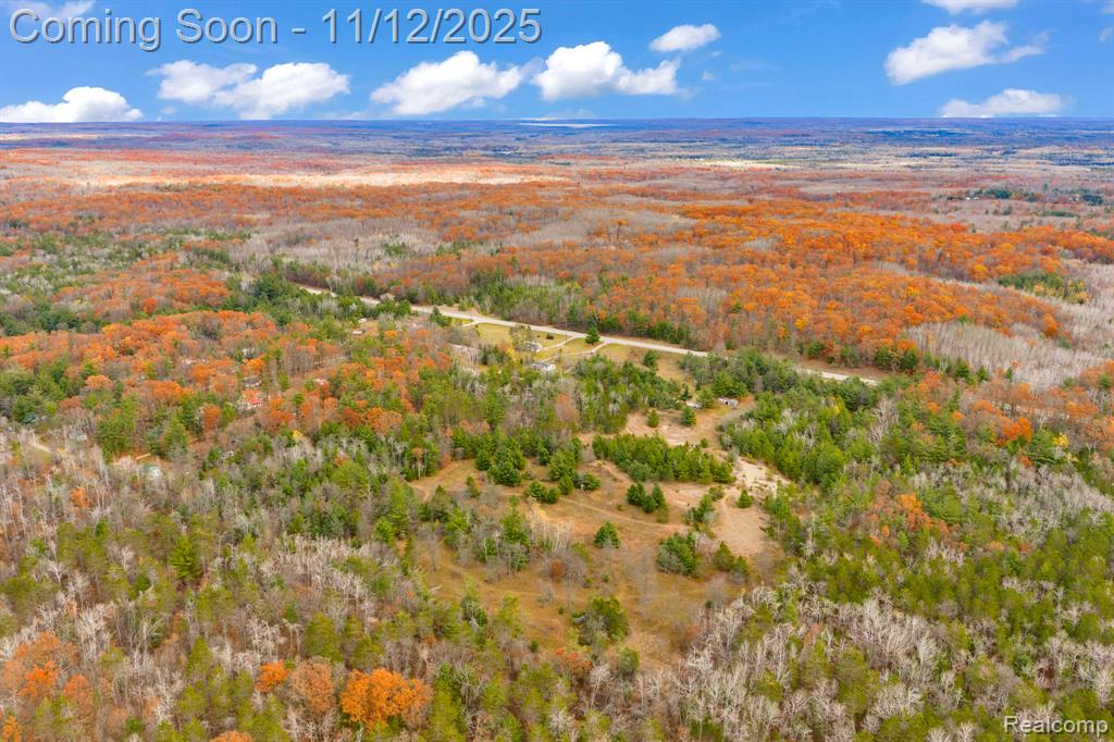 495 N M 65 Highway N, Curran, MI 48728 — Photo 40