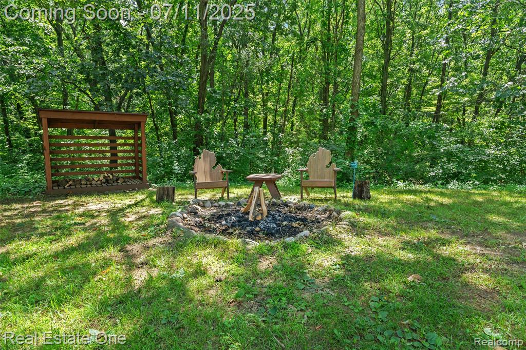 4217 Link Avenue, Brighton, MI 48114 — Photo 34