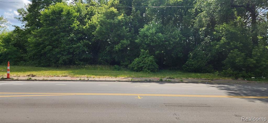 2705 MOUNT ELLIOTT Street, Detroit, MI 48207 — Photo 5