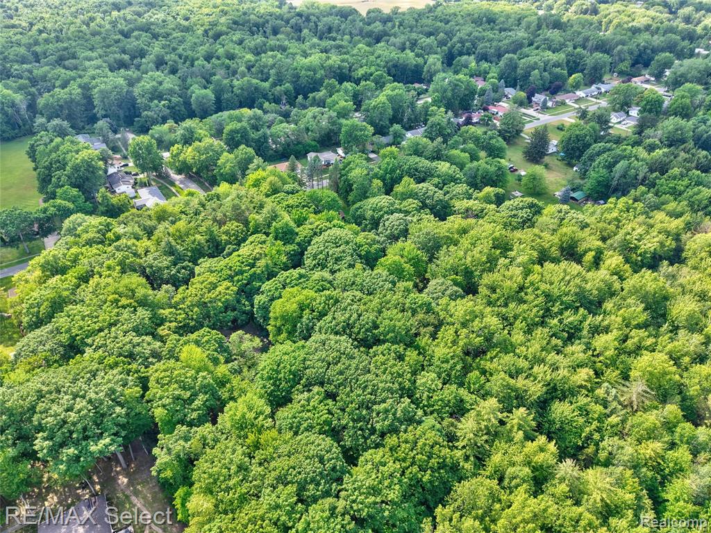 3471 S Towerline Road, Bridgeport, MI 48722 — Photo 57