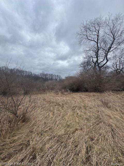 Lot 7 Rosy Drive, Leonard, MI 48367 — Photo 5