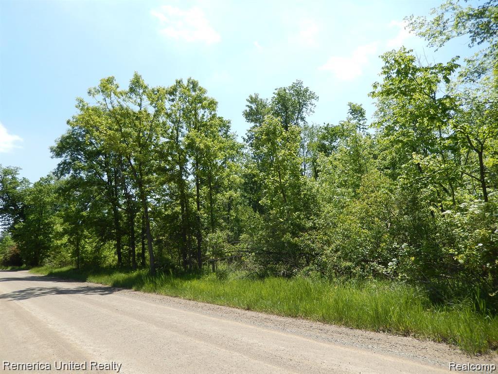 Parcel 20 Munsell Road, Howell, MI 48843 — Photo 8