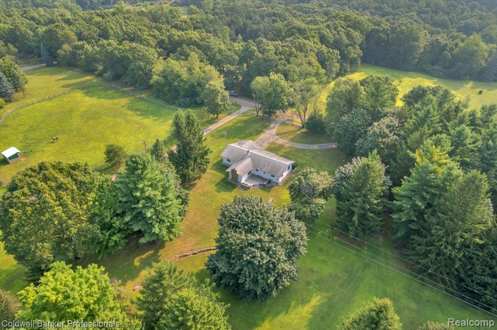 3252 Hosner Road, Dryden, MI 48428 — Photo 4