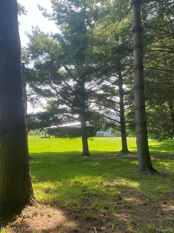 1215 S Bull Run Road, Fowlerville, MI 48836 — Photo 59