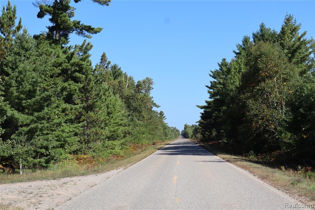 Lot D W Pendills Lake Road, Brimley, MI 49715 — Photo 59