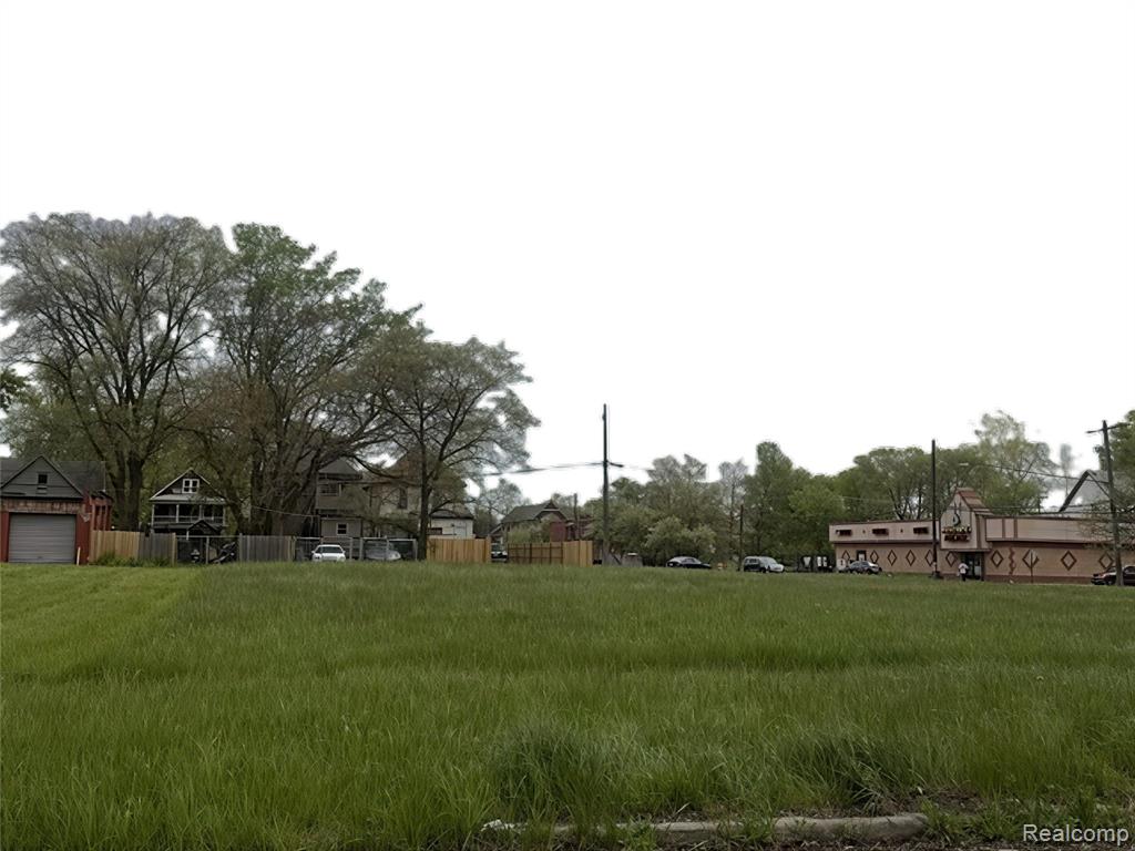 1502 Casgrain Street, Detroit, MI 48209 — Photo 2