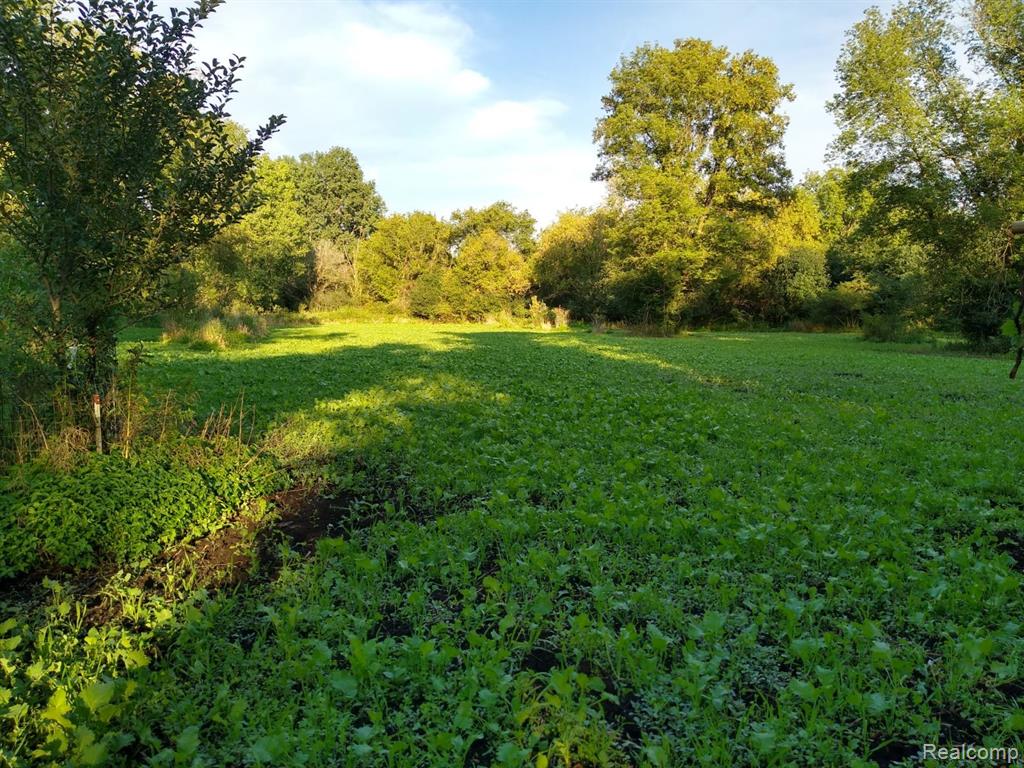 V/L BLAKE Road, Jackson, MI 49201 — Photo 10