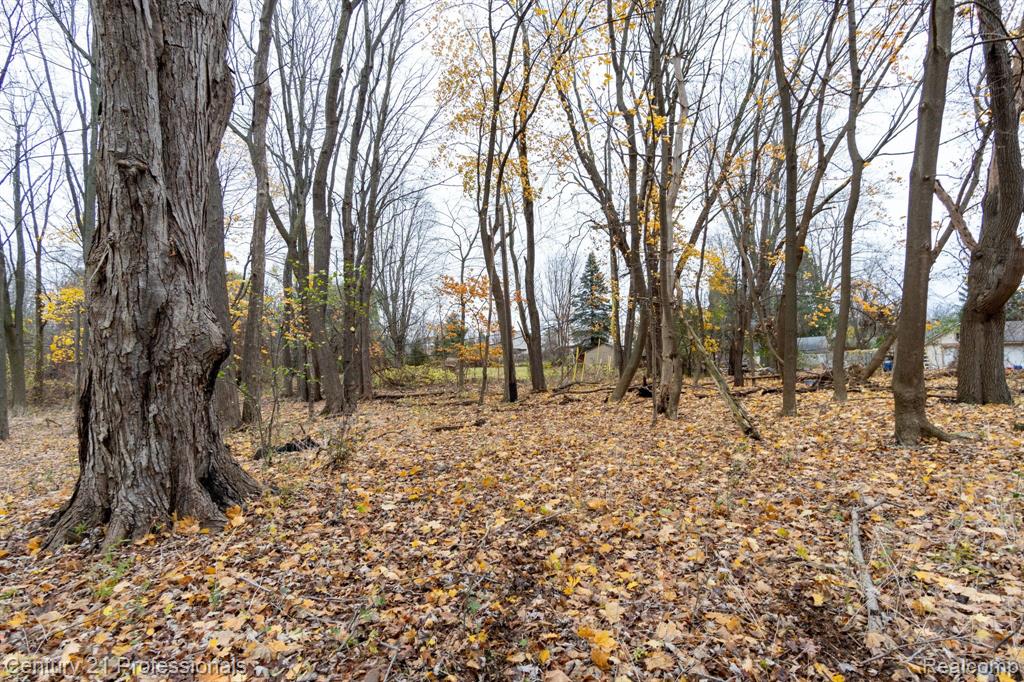 LOT 1 W WALTON, Waterford, MI 48329 — Photo 20
