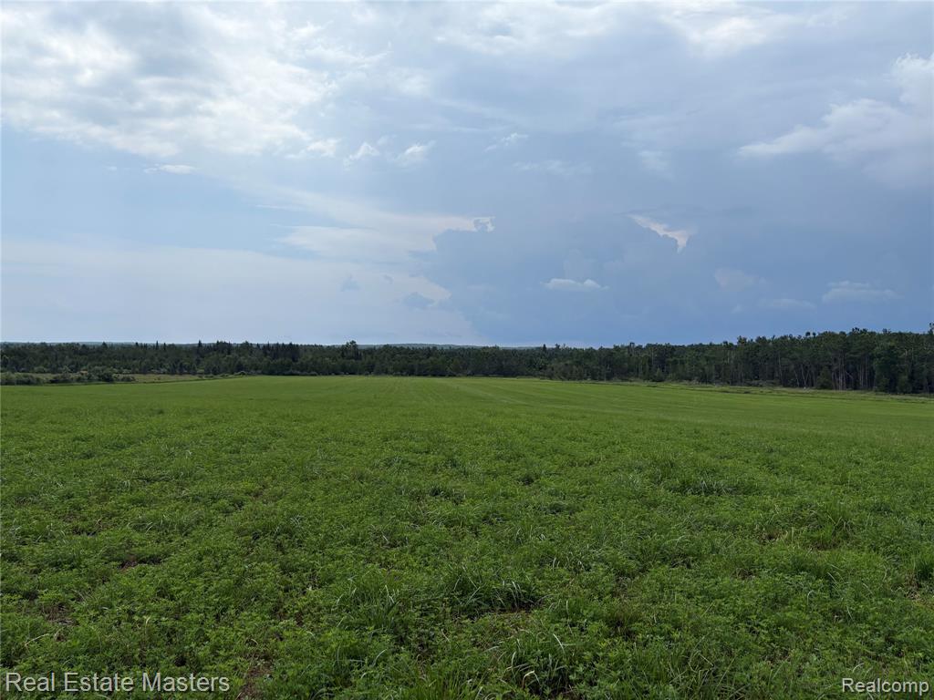 300 W Hubert Road, Spruce, MI — Photo 6