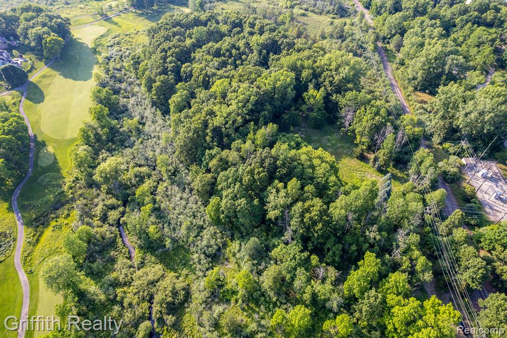 4433 Brighton Parcel D Road, Howell, MI 48843 — Photo 17