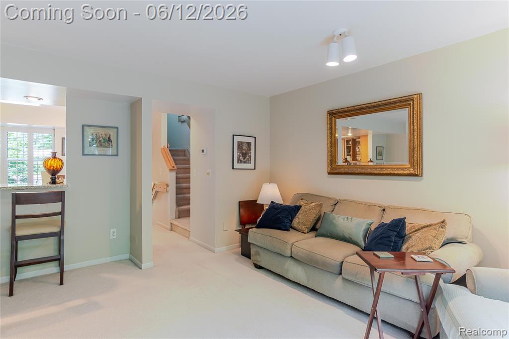 234 Lyn Anne Court, Ann Arbor, MI 48103 — Photo 11