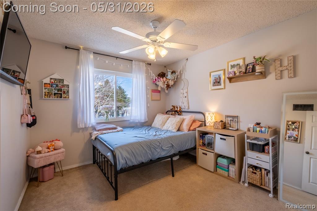 4102 Farner Street, Linden, MI 48451 — Photo 13