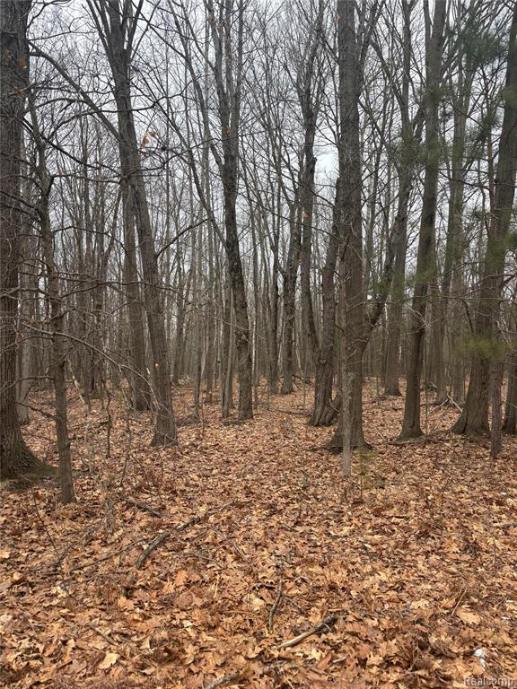 1904 Hay Road, Beaverton, MI 48612 — Photo 22