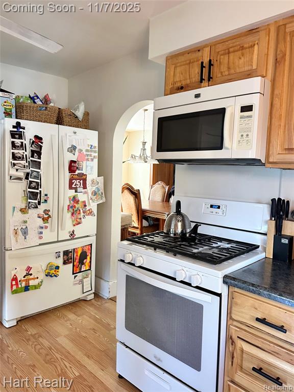 6865 Saint Marys Street, Brown, MI 48416 — Photo 12