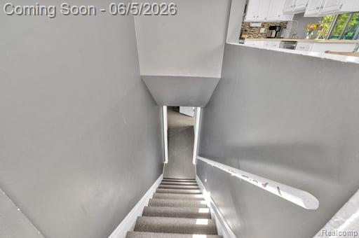 39770 Hillary Drive, Canton, MI 48187 — Photo 28