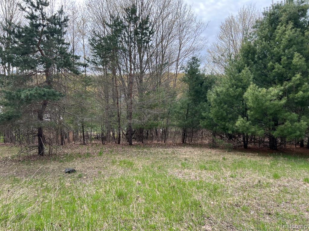 2903 Rushton Road, Central Lake, MI 49622 — Photo 6