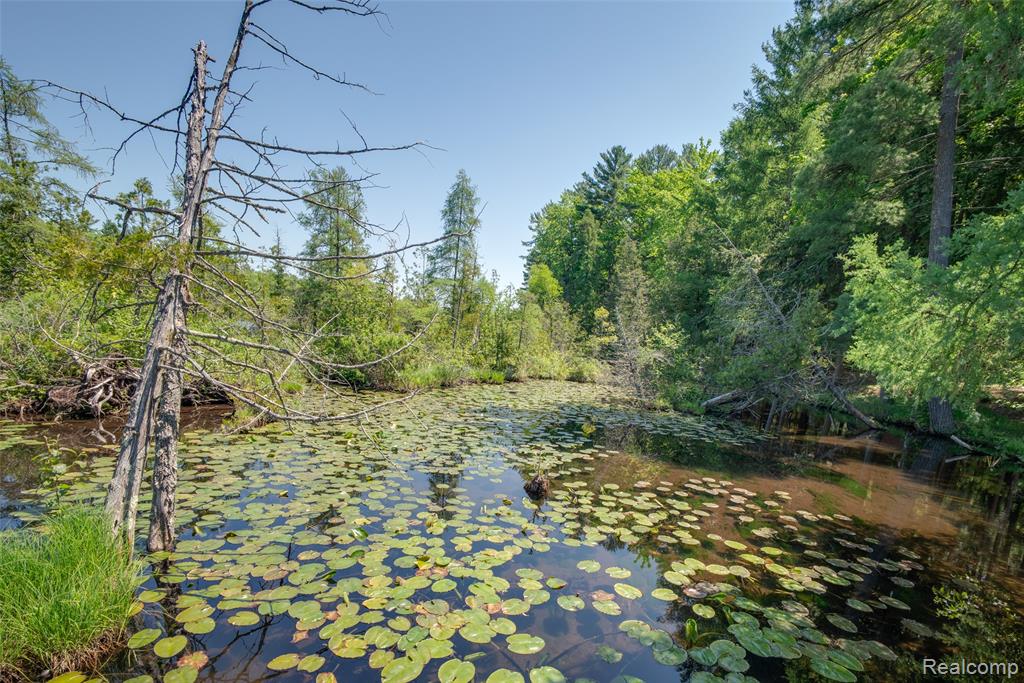 6954 AARWOOD Trail NW, Rapid City, MI 49676 — Photo 44