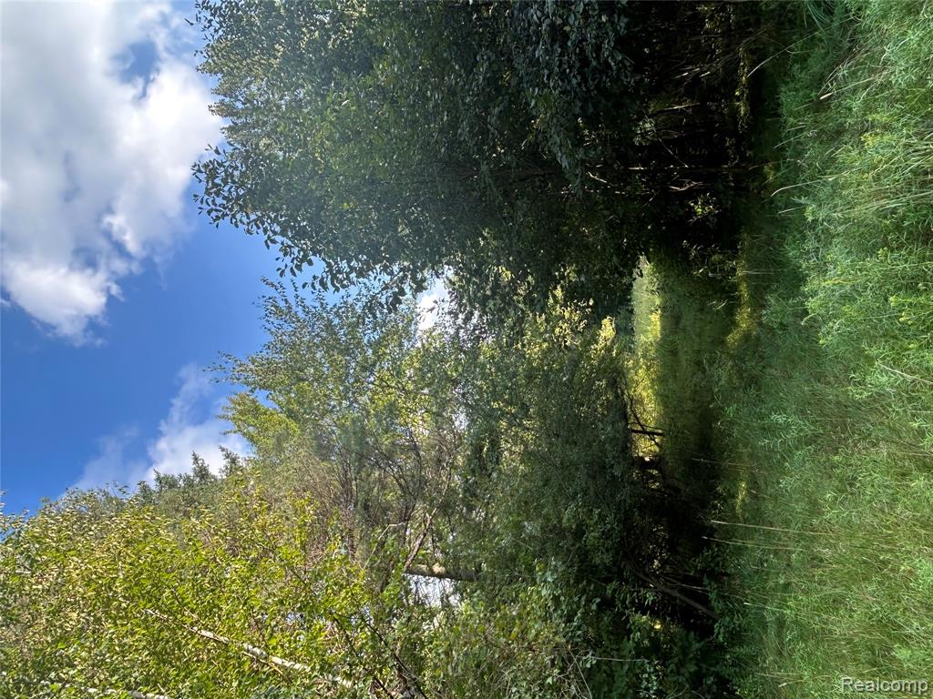 V/L Frankford Road, Caro, MI 48723