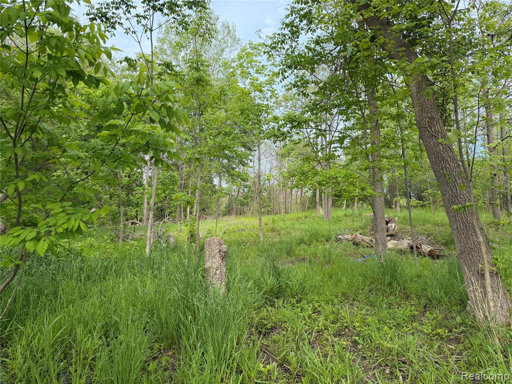 9200 Perry Road, Atlas, MI — Photo 2