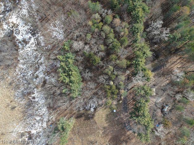 11461 WHITE LAKE Road, Fenton, MI, 48430