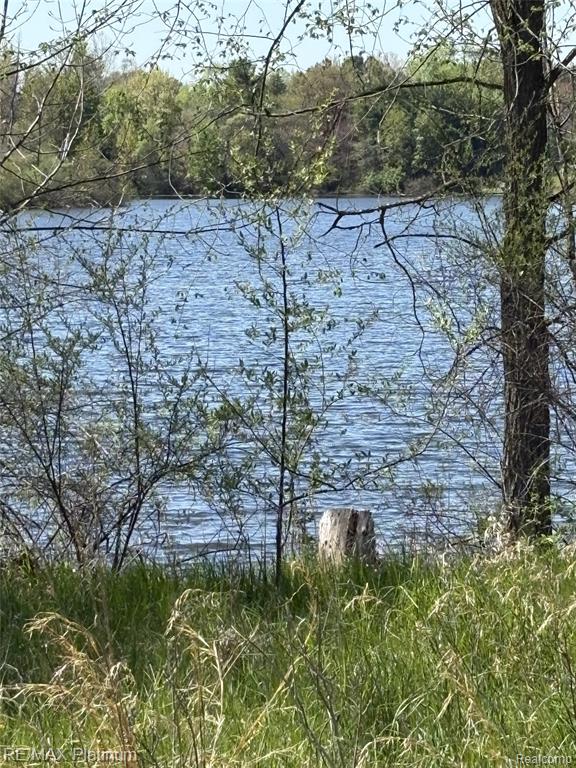 Parcel 1 Edgemont Drive, Howell, MI 48855 — Photo 10