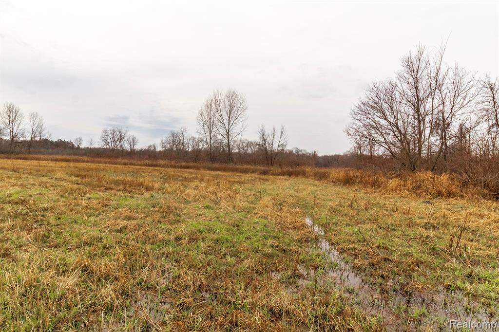 VL Roods Lake Road, Lapeer, MI 48446 — Photo 5