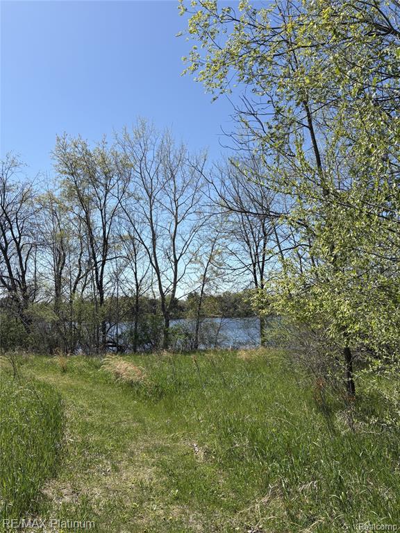 Parcel 1 Edgemont Drive, Howell, MI 48855 — Photo 9