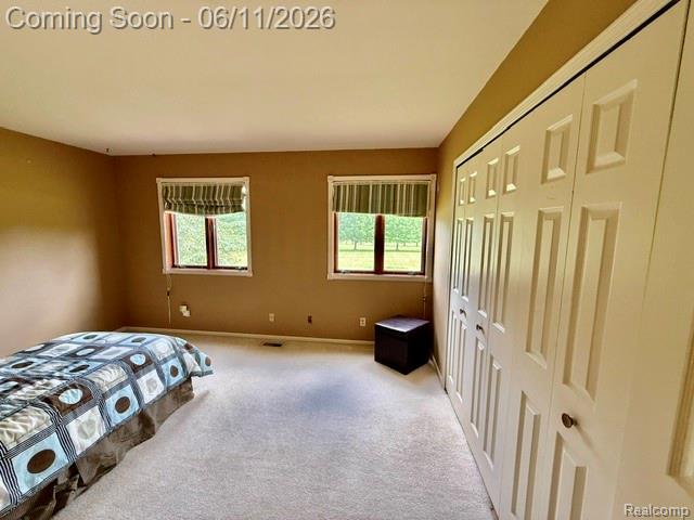 4897 Curtiss Drive, Lapeer, MI 48446 — Photo 33
