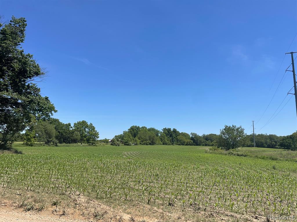 V/L SCHREPFER RD, Howell, MI 48855 — Photo 3