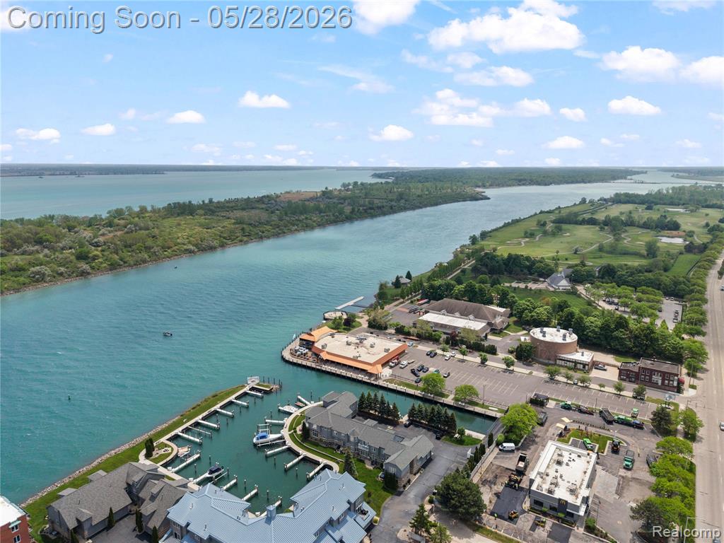 31 Kreger Drive, Wyandotte, MI 48192 — Photo 6