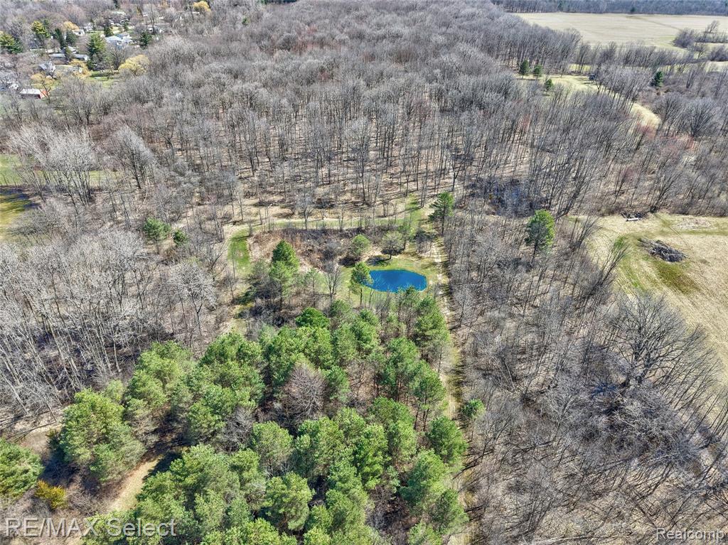 3309 S Vassar Road, Davison, MI 48423 — Photo 38