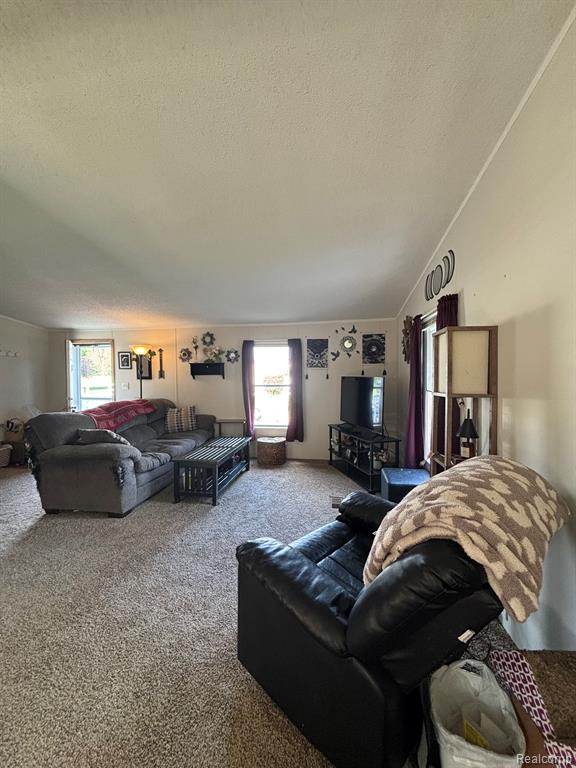 4101 lot #601 S Sheridan, Lennon Vlg, MI 48449 — Photo 4
