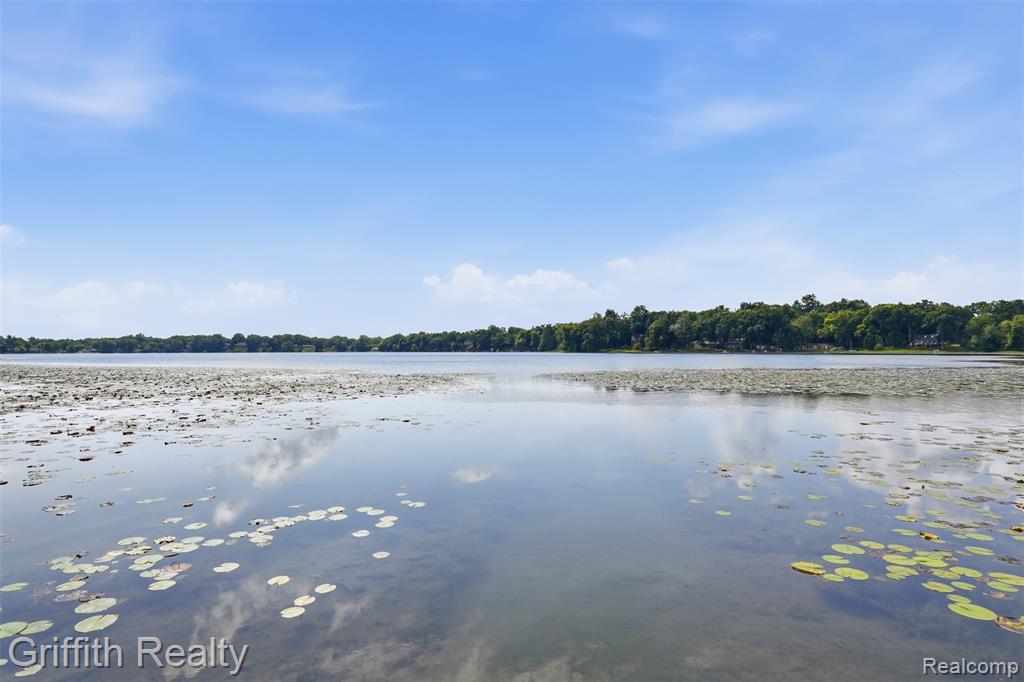 5730 Cowell Road, Brighton, MI 48116 — Photo 35
