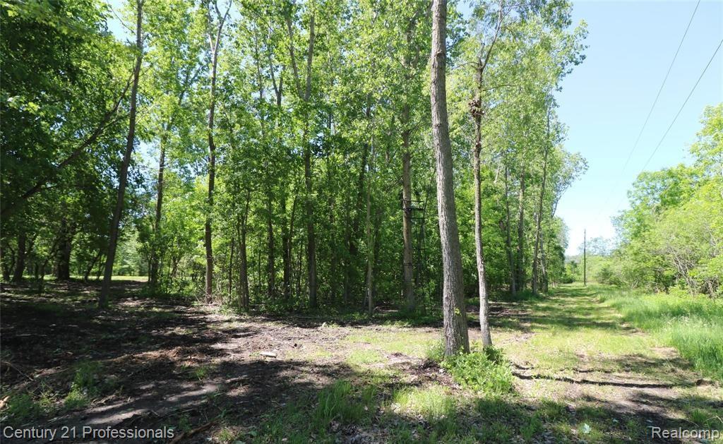 VACANT LAND Nicholson Road, Handy, MI 48836 — Photo 3