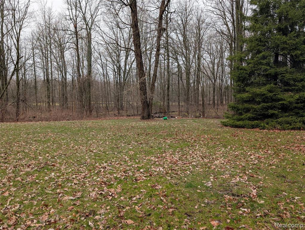 9345 Weber Road, Columbus, MI — Photo 4