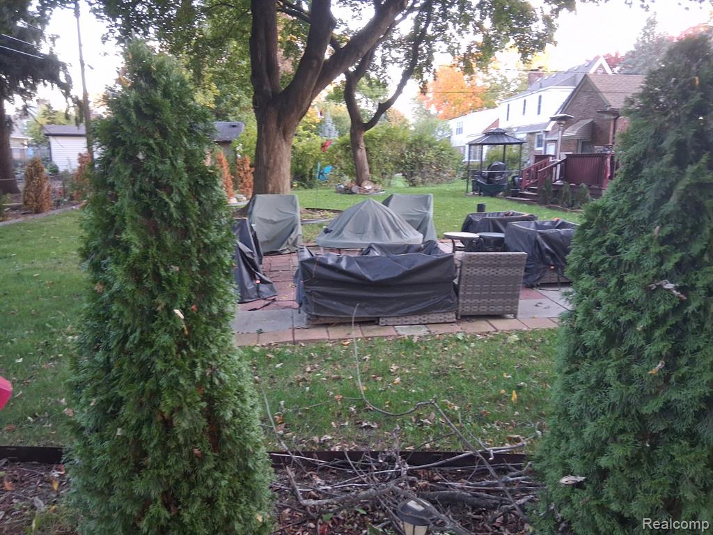 Photo 5