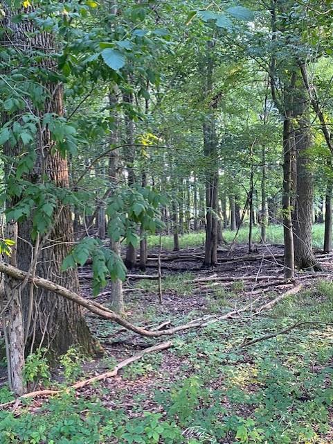 7762 Mason Road, Yale, MI 48097 — Photo 25