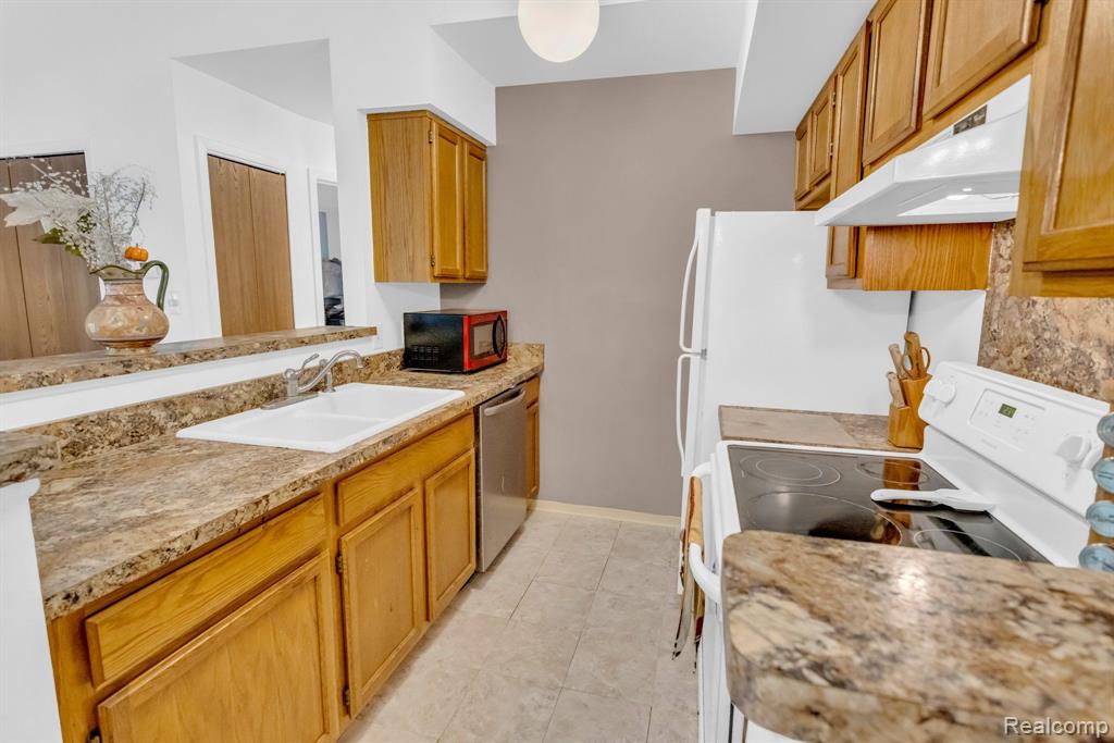 302 SPRING BROOKE Drive, Brighton, MI 48116 — Photo 8