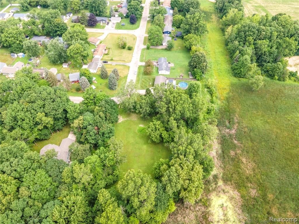 7244 Schoolcraft Drive, Davison, MI 48423 — Photo 6